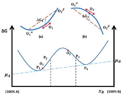 Gibbs Free Energy Composition Diagram Method For Determining The