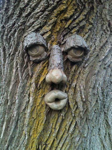 Pin By Tammy Pike On Tree Faces Tree Faces Garden Art Unique Trees