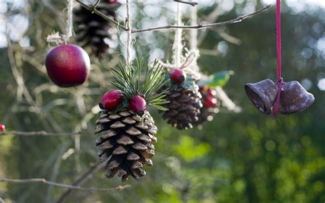 25 Beautiful Pinecone Christmas Ornaments Ideas Magment