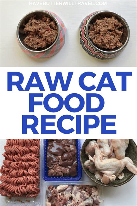 Striking the right balance of ingredients. Raw Cat Food | Recipe | Homemade cat food, Raw pet food ...
