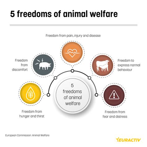 Animal Welfare In The Eu Euractiv