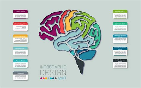 Brain Graphic Design