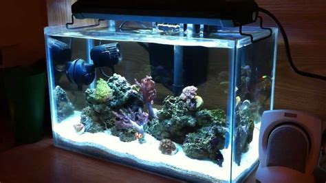 Rimless Reef Aquarium Rin Aquarium Fish