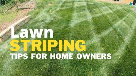 Lawn Stripes How To Stripe Your Grass Like A Pro Youtube