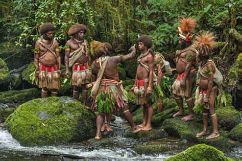 Top 10 Largest Tribes In Africa Newswirengr