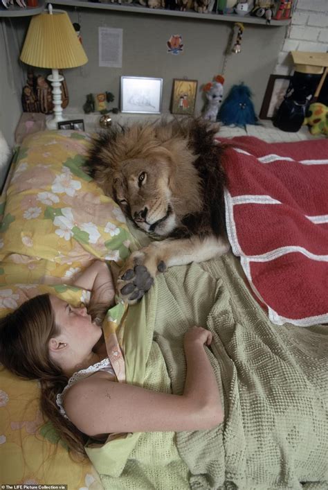 Hollywood Legend Tippi Hedren The Original Lion Queen Who Had An