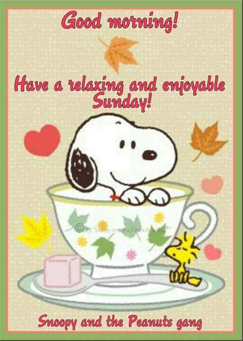 Happy Sunday Snoopy Snoopy Love Snoopy Pictures