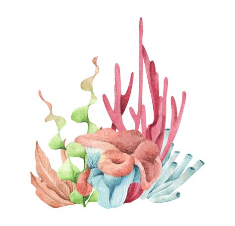 Seaweeds Underwater Ocean Plants Sea Coral Elements Watercolor