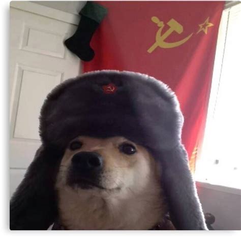 Russian Dog Cyka Metal Print By Bhiby Redbubble