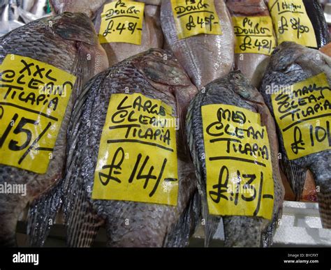 Billingsgate Fish Market Counter London Uk Stock Photo Alamy