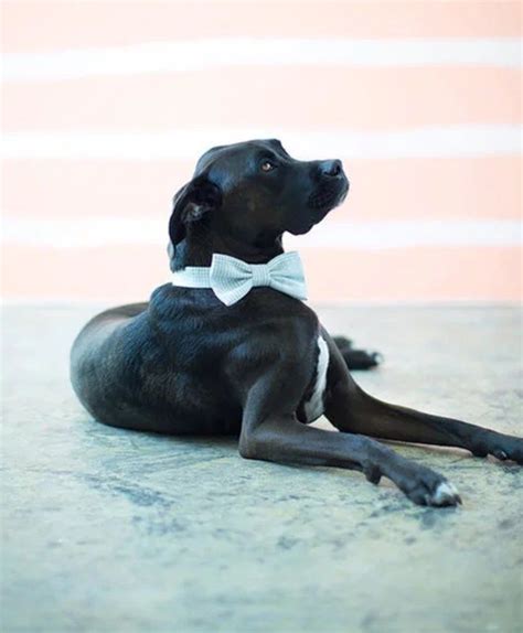 The kids can make some small wreaths to give to their favourite teacher. 21 Simple & Memorable DIY Christmas Gifts Anyone Would Be ...