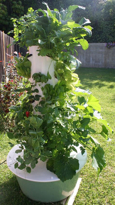 Grow 20 Different Organic Vegetables And Fruits In Your Own Tower