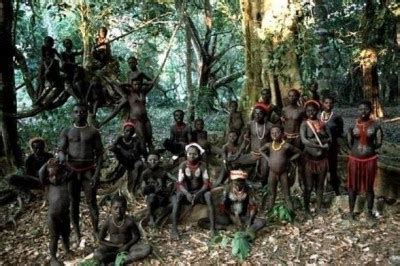Uncharted Territory The Secretive Sentinelese Tribe Of North Sentinel