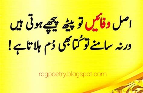 New Motivational Quotes, Urdu quotes, Best Quotes, New Quotes, Quotes