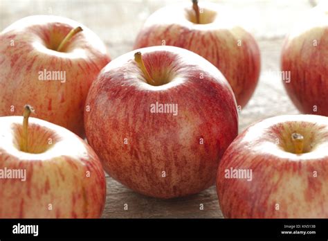 Fresh Royal Gala Apples Stock Photo Alamy