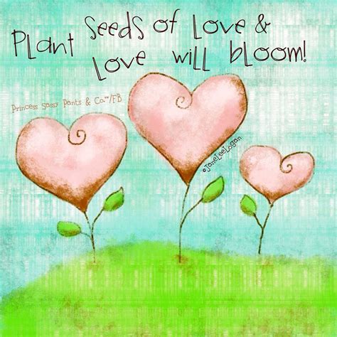 Plant Seeds Of Love Quotes Quotesgram