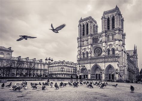 Notre Dame De Paris Noir And Blanc LŒil De La Photographie Magazine
