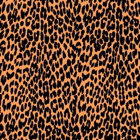 Leopard Print Vector Graphic Free Vector For Free Download Freeimages
