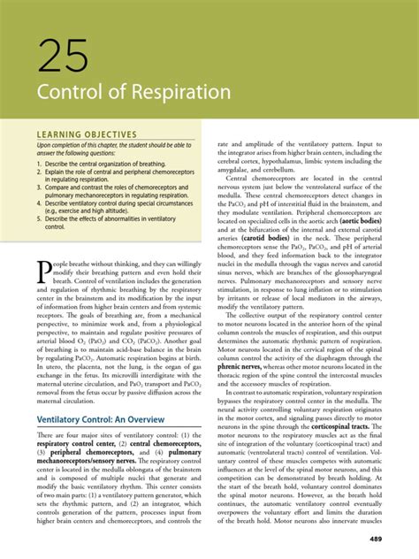 Control Of Respiration Physiology Pdf Breathing Respiratory System
