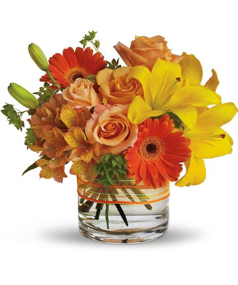 We did not find results for: Get Well Flowers & Gift Ideas Milwaukee - Same-day Delivery