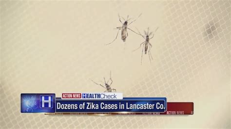 Dozens Of Pregnant Women Infected With Zika Virus In Lancaster County