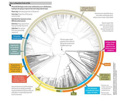 The Circle Of Life Shows How All Of The 23 Million Known Species Fit