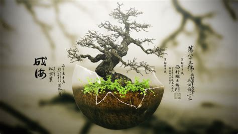 Bonsai Tree Wallpaper For Desktop Pixelstalknet