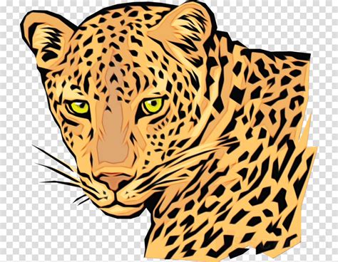 Free 65 Png Transparent Cheetah Print Svg Free SVG PNG EPS DXF File