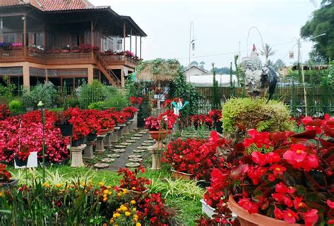 Taman Bunga Bandung Wisata Romantis Yang Bikin Baper