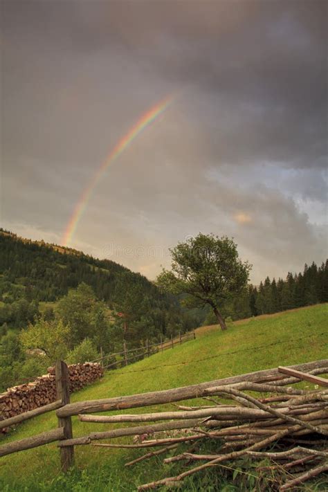 Mountain Forest With Rainbow Stock Image Image Of Panoramic Fotest