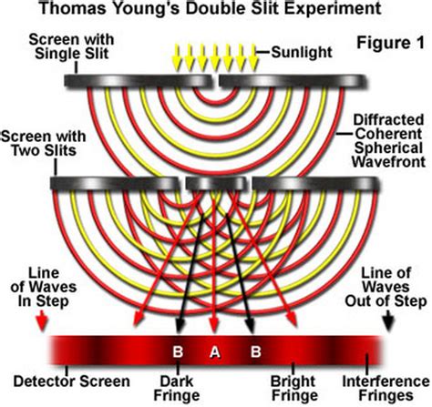 Thomas young's double slit experiment was extremely important in the area of wave theory. Light