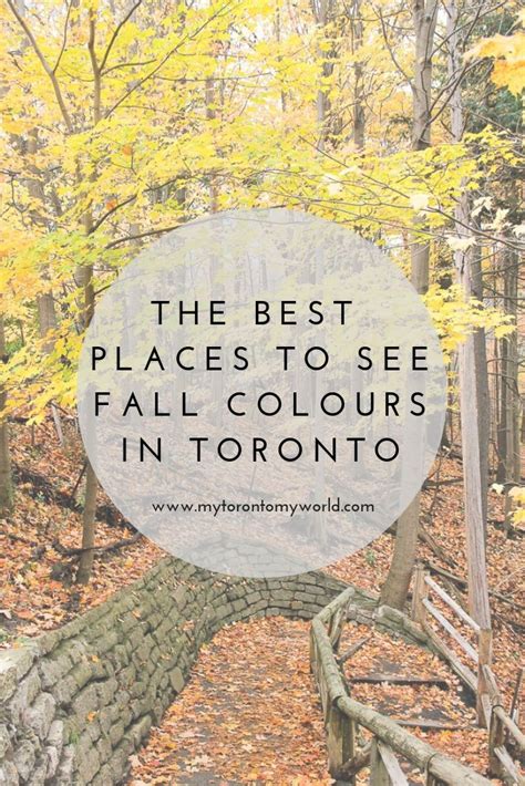 The Very Best Places To Experience The Toronto Fall Colours My