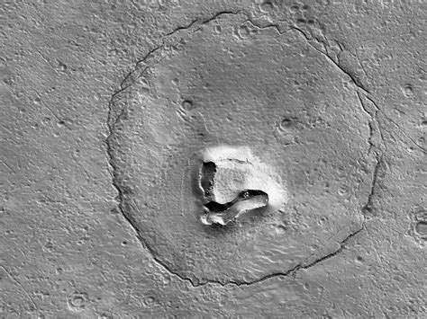 ‘bear Face Discovered On The Surface Of Mars In New Satellite Photo