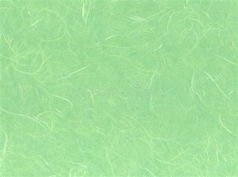 Light Green Paper Royalty Free Stock Photos Image 10655178