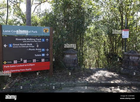 Lane Cove National Park Sydney Nsw Australia Stock Photo Alamy