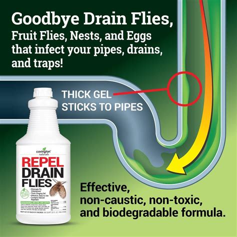 No more green and loving diy nonsense that appears each time fly larvae, which are aqueous, grow and feed on the organic matter. Drain Fly Killer, Fruit Fly Killer Gel Treatment and Drain ...