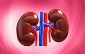 Drug reduces risk of kidney failure in people with diabetes, study ...
