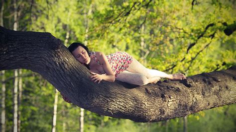 Woman Lying On Large Tree Branch Hd Wallpaper Wallpaper Flare