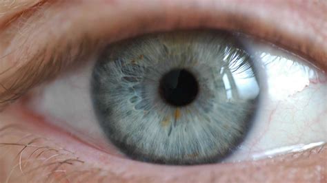 The Effects Of Molly Mdma On The Eyes Addiction Resource