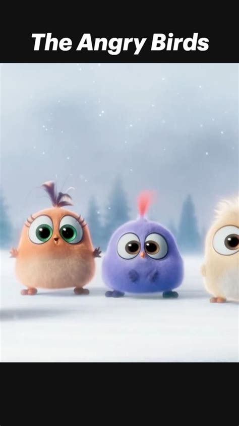 The Angry Birds Seasons Greetings From The Hatchlings In 2023