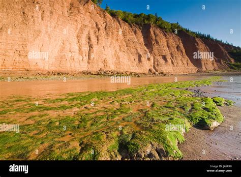 Low Tide And Sandstone Cliffs Cape Blomidon Provincial Park In The
