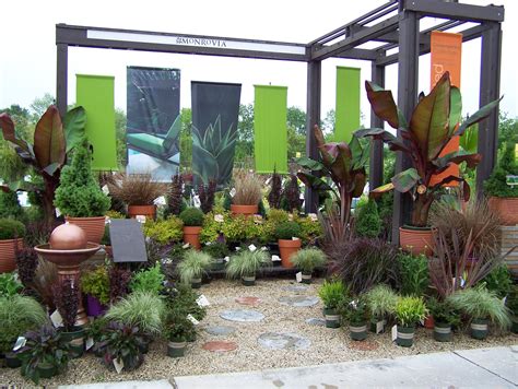 Monrovia Modern Tropical Garden Center Displays Garden Center