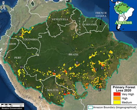 Maap 132 Amazon Deforestation Hotspots 2020 Amazon Conservation