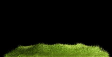 Realistic Grass Alpha V2 Motion Graphics Videohive