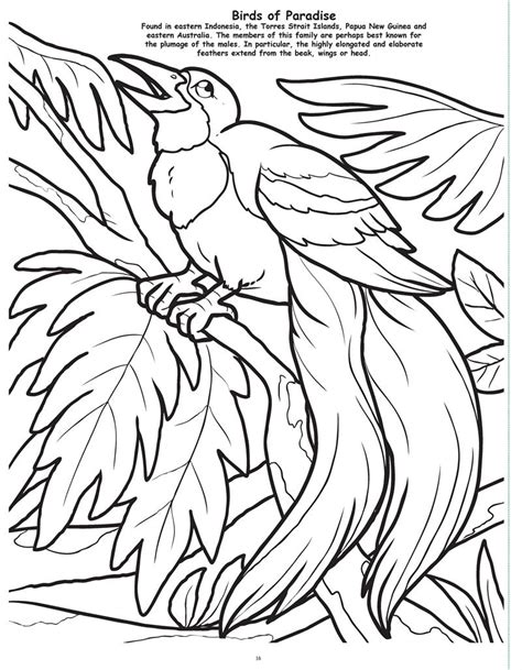 Indonesia Coloring Pages Coloring Home