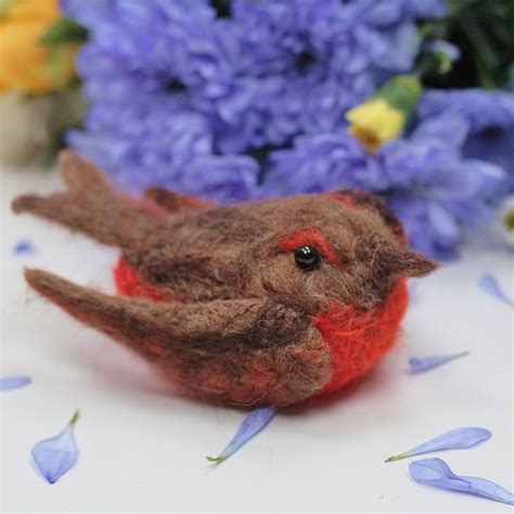 Robin Needle Felting Kit For Beginners Makes Two Rustic Robins