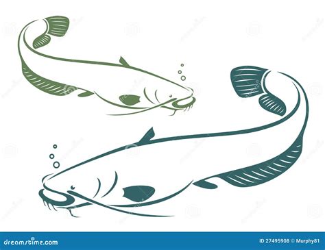Catfish Stock Vector Illustration Of Fishing Enormous 27495908