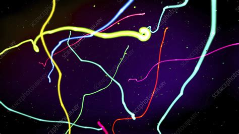 Neon Streamers Illustration Stock Image F0250708 Science Photo