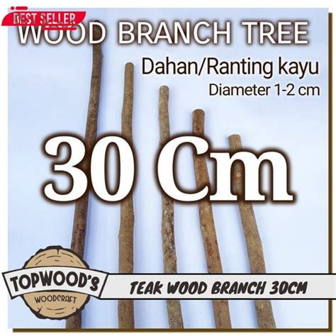 Jual Topwood Wood Branch Tree 30 Cm Dahan Kayu Ranting Kayu Bahan Craft