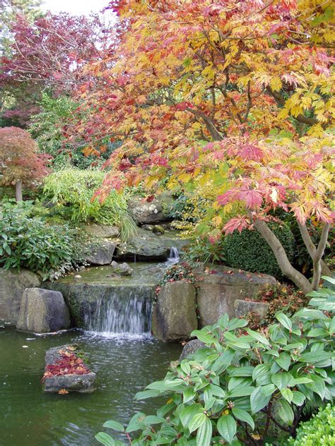 Der japanische garten stellt etwas besonderes in einem europäischen garten dar. Japanischer Garten